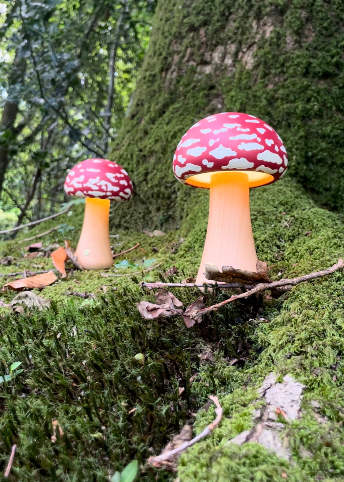 Pre order Mushroom Table Lamp