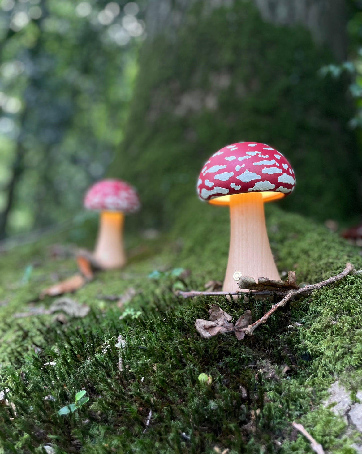 Pre order Mushroom Table Lamp