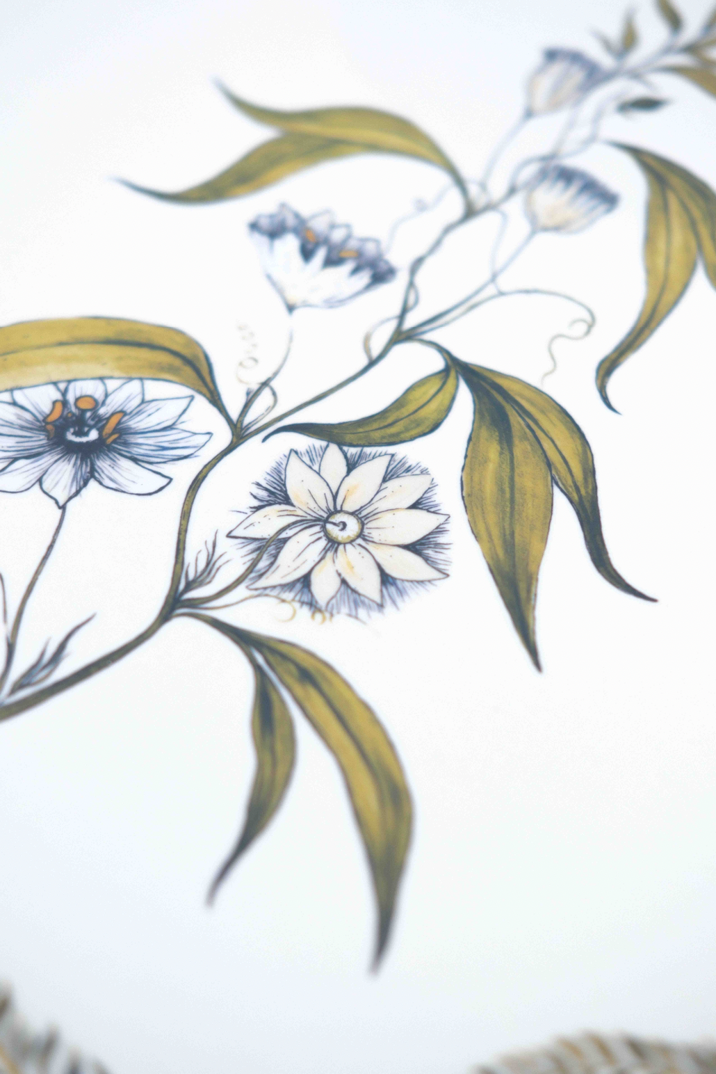 Passion Fruit Flower Hexagon Placemat for Penny Morrison