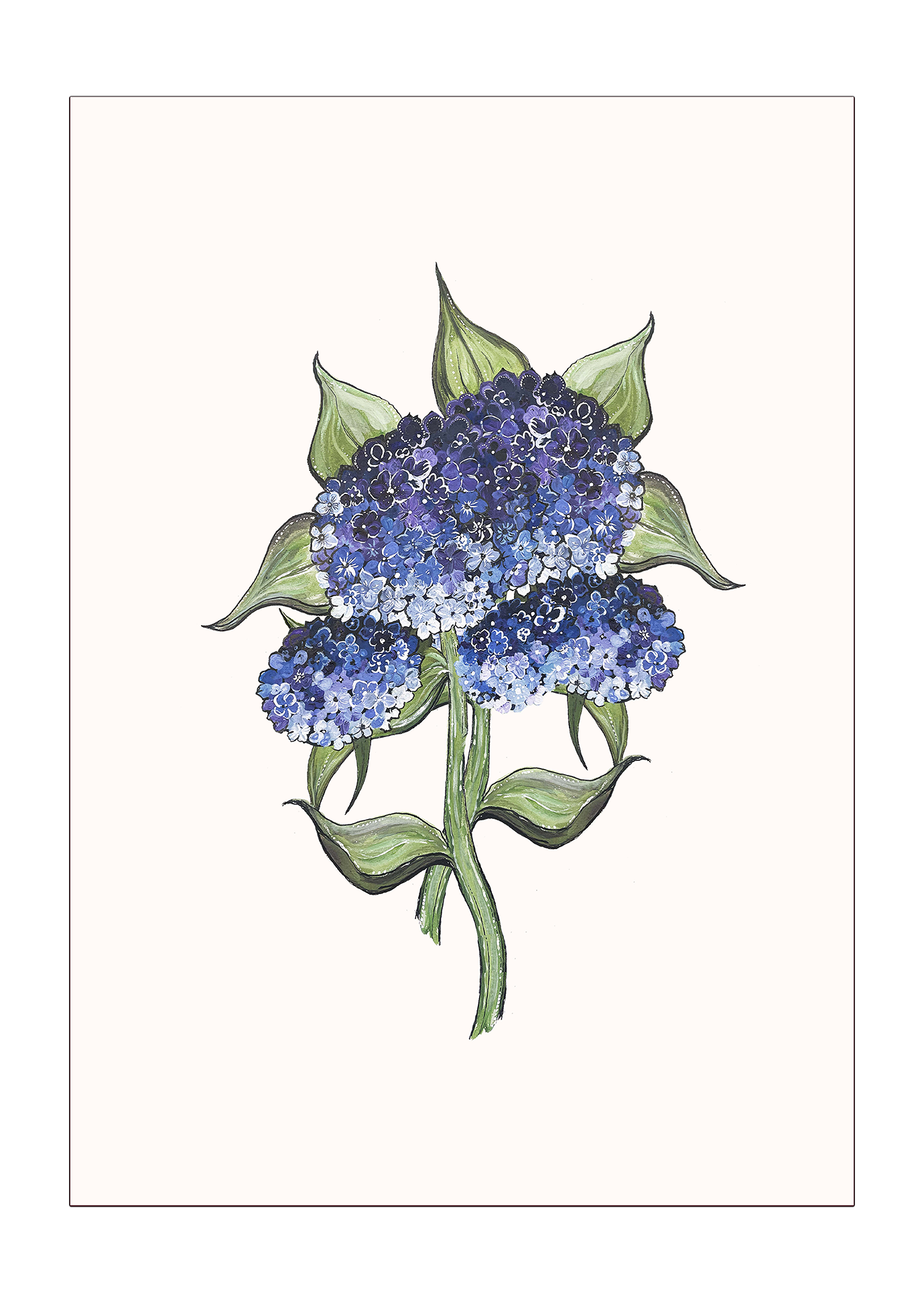 Botanical Hydrangea Print