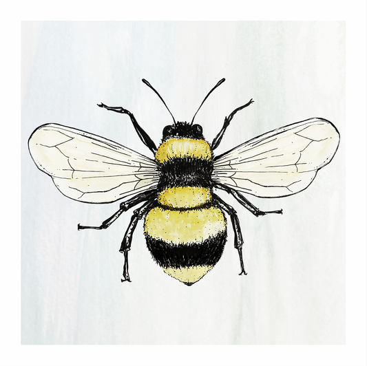 Bumble Bee Print