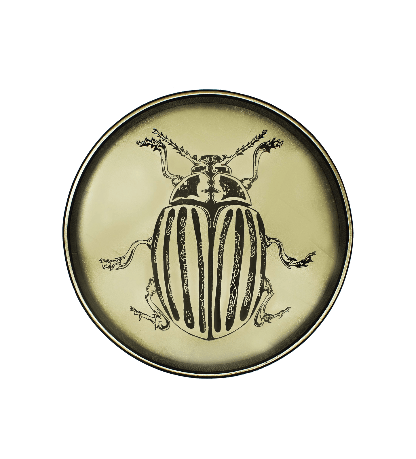 Gold Faux Leather Scarab Beetle Tray