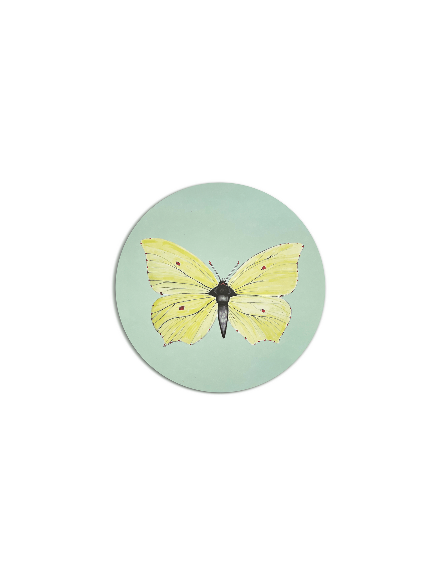 Yellow Brimstone Butterfly Coaster